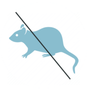 永雅消毒有限公司－台北 除蟲公司｜除蟲消毒｜專業滅鼠｜白蟻防治｜餐廳消毒滅蟑推薦｜辦公室消毒除蟲推薦11